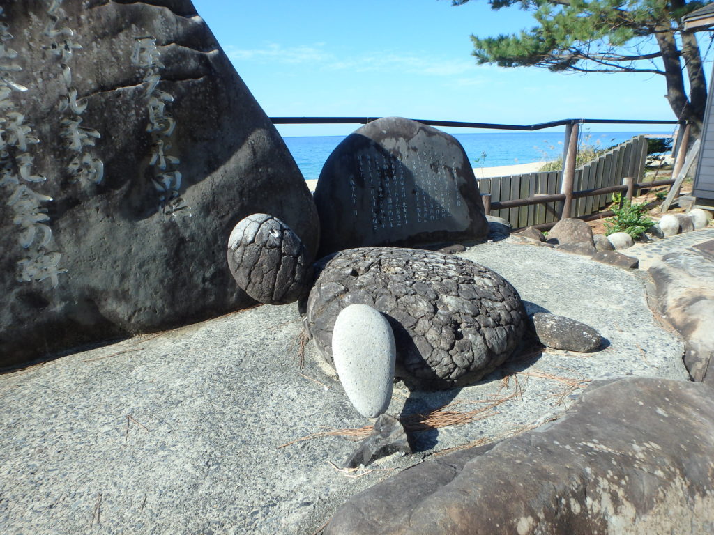 ウミガメの産卵地である屋久島の永田いなか浜